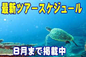 ダイビングツアー