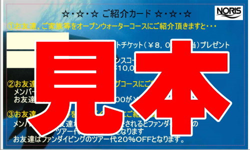 ダイビング紹介チケット見本