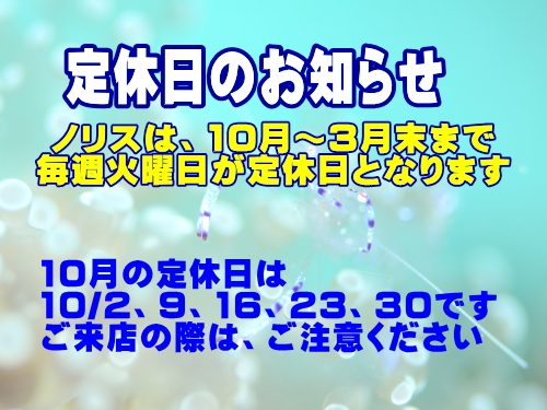 ノリス店休日
