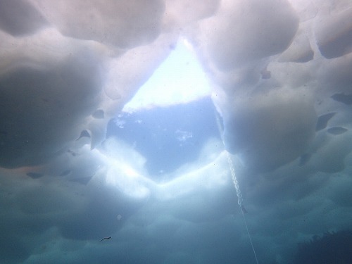 流氷の下