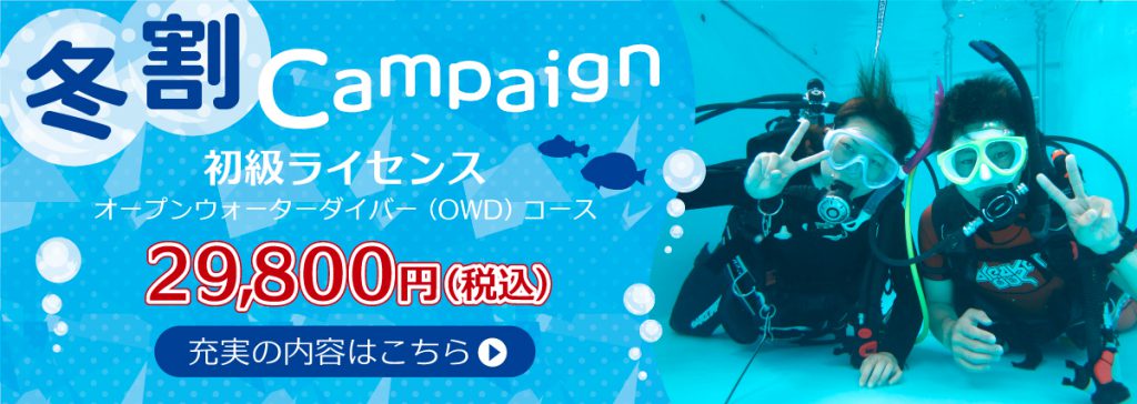 ダイビングライセンス特価