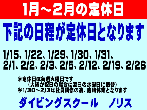 ノリス定休日