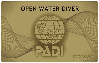 PADIのCカード