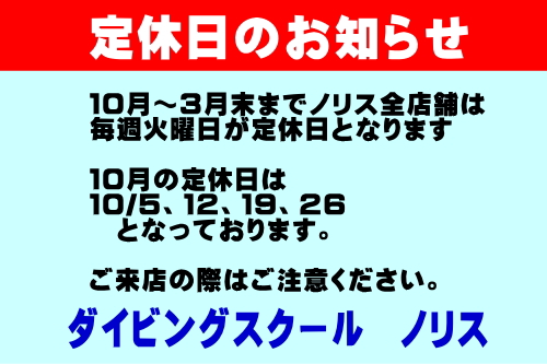 ダイビングスクールノリス定休日