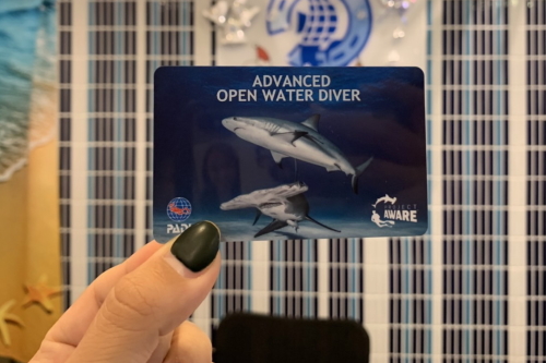 2021AWARE(PADI)