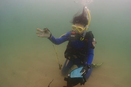 ノリスの海中清掃