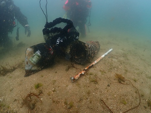 ノリスの海中清掃