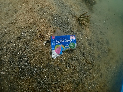 ノリスの海中清掃