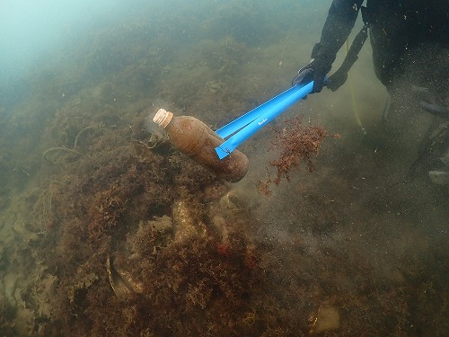 ノリスの海中清掃