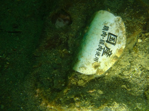 ノリスの海中清掃