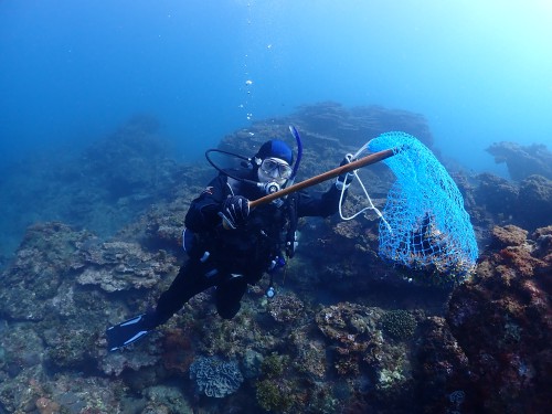 ノリスの海中清掃（オニヒトデ駆除）