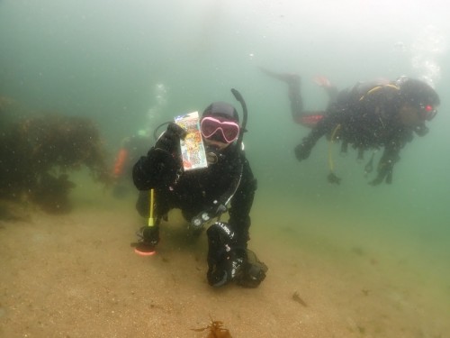 ノリスの海中清掃