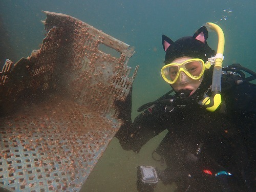 ノリスの海中清掃