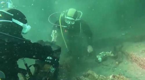 ノリスの海中清掃