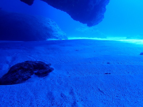 南大東島の海の中