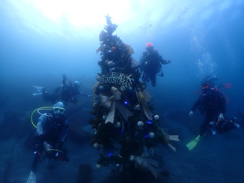 水中クリスマスツリー