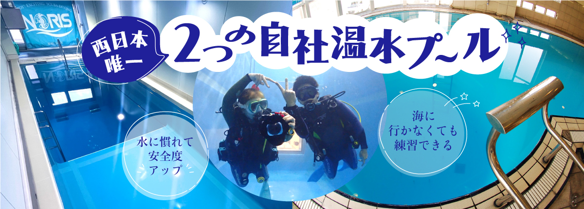 バナー　充実のプールプログラム