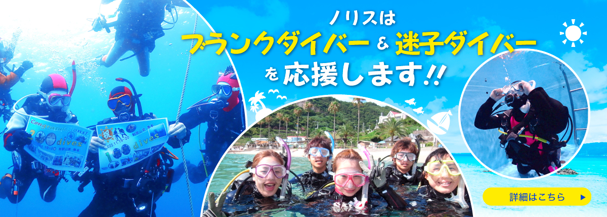 ブランクダイバー大歓迎!リフレッシュダイビング♪