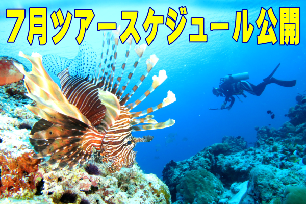 ダイビングツアースケジュール
