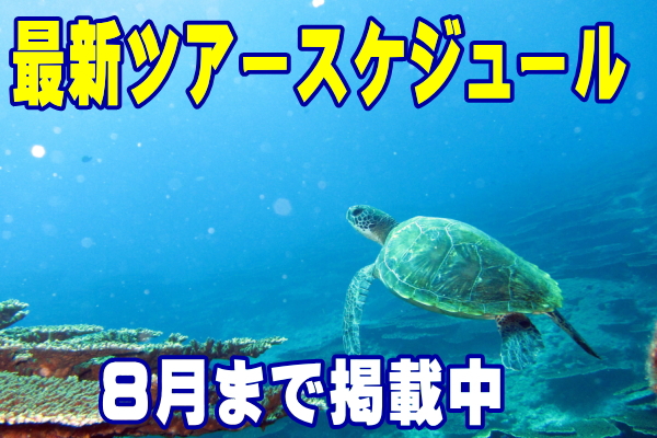 ダイビングツアー