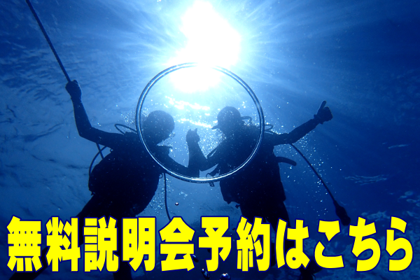 ダイビング無料説明会