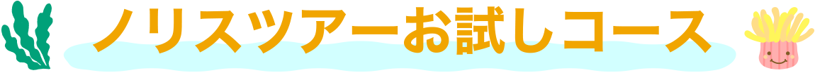 ノリスツアーお試しコース