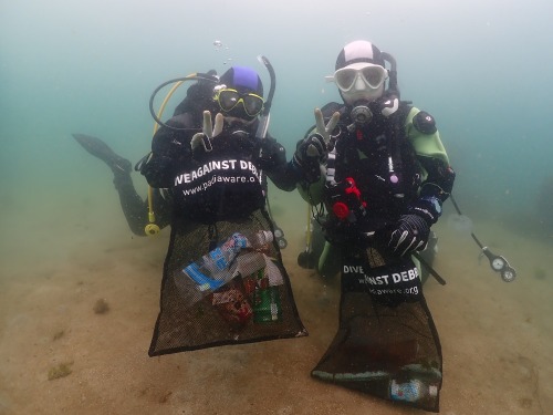 ノリスの海中清掃