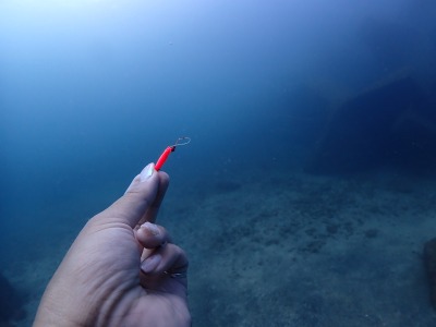 ノリスの海中清掃