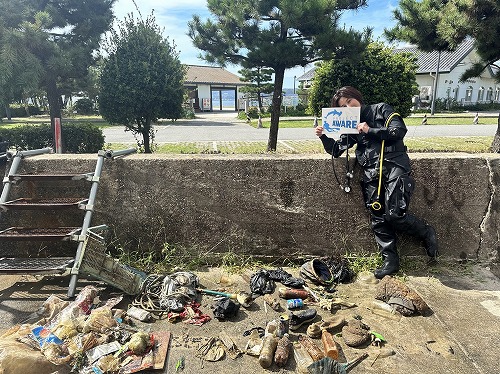 ノリスの海中清掃