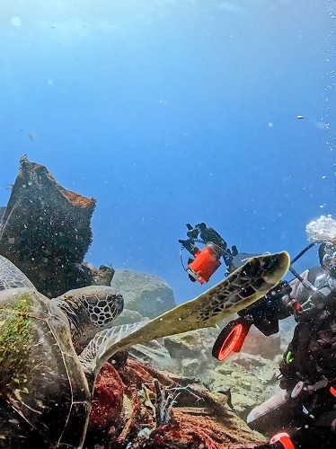 趣味にぴったり！秋冬の海で始めるスキューバダイビング