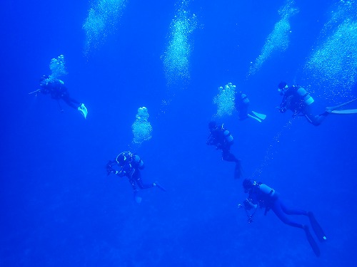 南大東島の海の中
